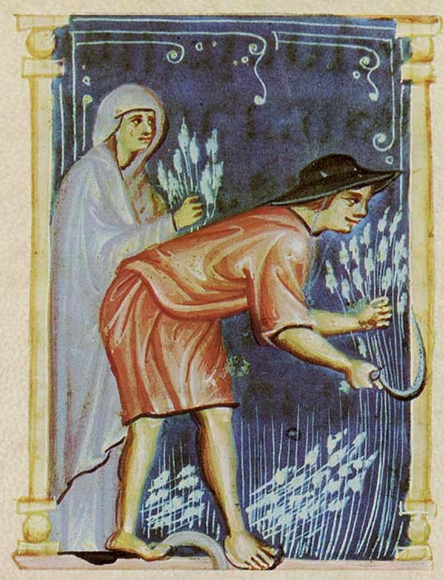 rut spigola